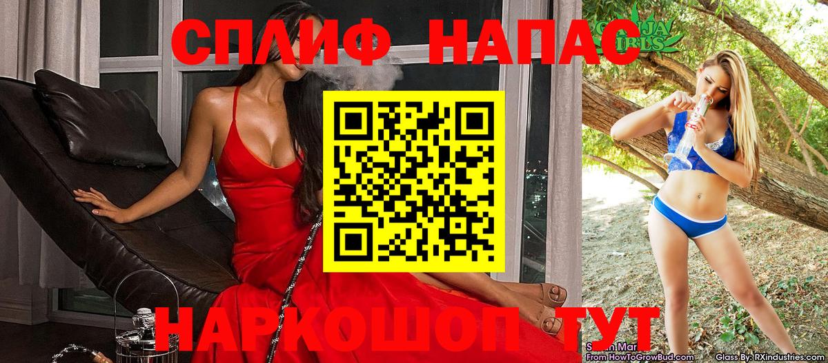 Бошки Шишки план Моздок